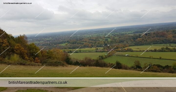 DAYS OUT IN ENGLAND: PICTURESQUE BOXHILL, SURREY, ENGLAND