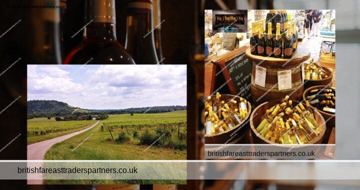 Discover Denbies Wine Estate: Surrey Hills’ Hidden Gem 🍇