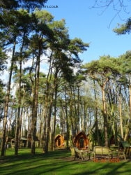 WANDERING AROUND THE BEAUTIFUL PORT LYMPNE HOTEL & RESERVE IN KENT, ENGLAND, PINEWOOD CAMPING PODS