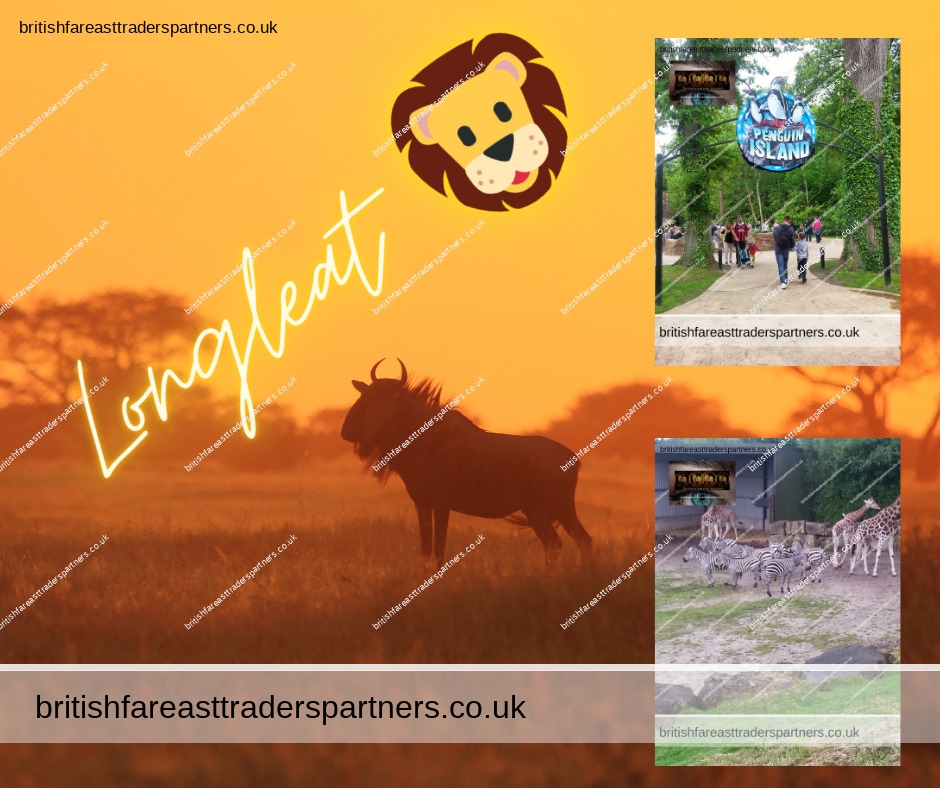 Discover Longleat: A Journey Through Wiltshire’s Enchanted Safari Wonderland 🐘