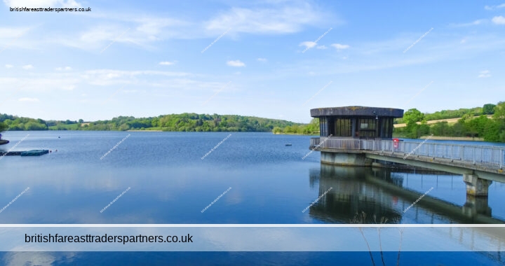 Serenity Unleashed: Ardingly Reservoir’s Sussex Nature Trail