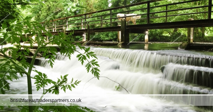 “Discovering Surrey’s Scenic Gems: A Relaxing Afternoon Walk Along the River Wey and Thames”