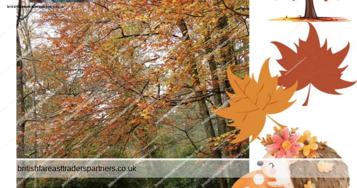 🍂 Discover UK’s Best Woodland at Leonardslee Lakes & Gardens 🇬🇧 #AutumnMagic