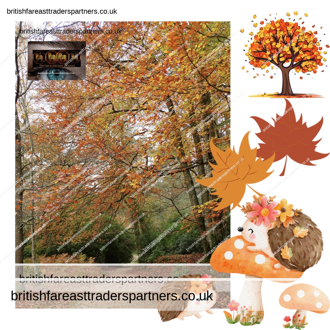 🍂 Discover UK’s Best Woodland at Leonardslee Lakes & Gardens 🇬🇧 #AutumnMagic