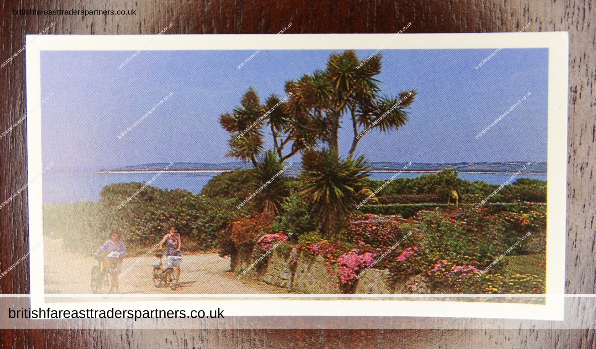 DISCOVERING OUR COAST: THE ISLES OF SCILLY : BROOKE BOND OXO LTD CARD 34 OF 50