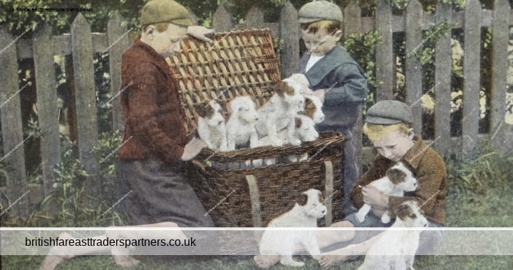 ANTIQUE February 1903 Young Boys & CUTE Puppies SUMMERTIME An Unexpected Present COLLECTABLE SOCIAL HISTORY YOUNG PEOPLE PETS & ANIMALS Post Card