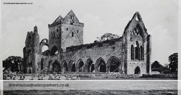 VINTAGE 27th April 1942 SPRINGTIME Sweetheart Abbey Ruins Herd of Sheep DUMFRIES ENGLAND VALENTINE’S Silveresque RPPC COLLECTABLE TOPOGRAPHICAL HISTORICAL RELIGIOUS Post Card