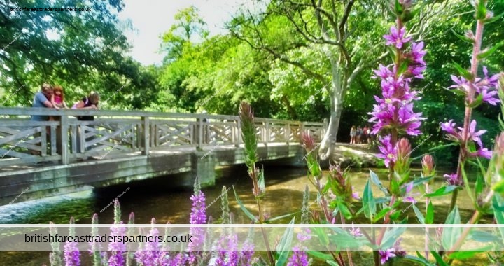 BEAUTIFUL CANAL & PARK WALKS IN ENGLAND: GRAND UNION CANAL & CASSIOBURY PARK IN WATFORD |190 acres of Open Grass and Woodland with Sports Facilities, Kids’ Attractions and a Nature Reserve