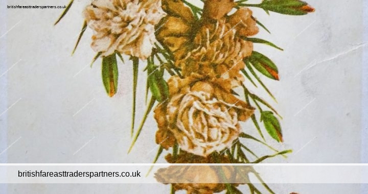 ANTIQUE BIRTHDAY GREETINGS CARD CARNATION FLOWERS “ALPHA” PUBLISHING CO. 2 & 4 SCRUTTON ST. , LONDON, E.C. PRINTED IN ENGLAND COLLECTABLES | POSTCARDS | GREETINGS