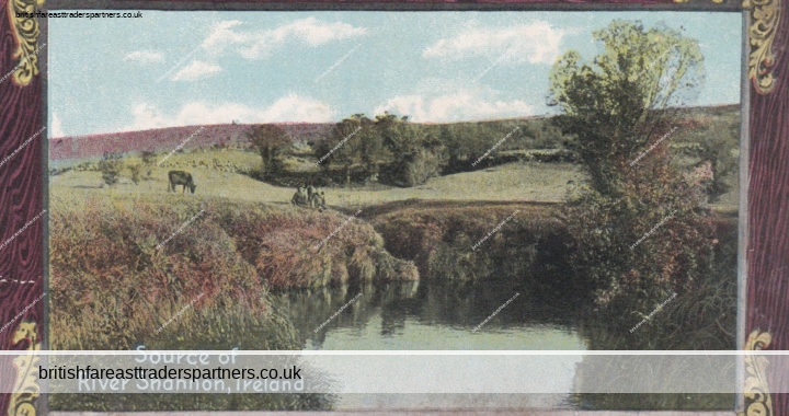 VINTAGE “Source of River Shannon, Ireland” IRELAND Collectable POSTCARD