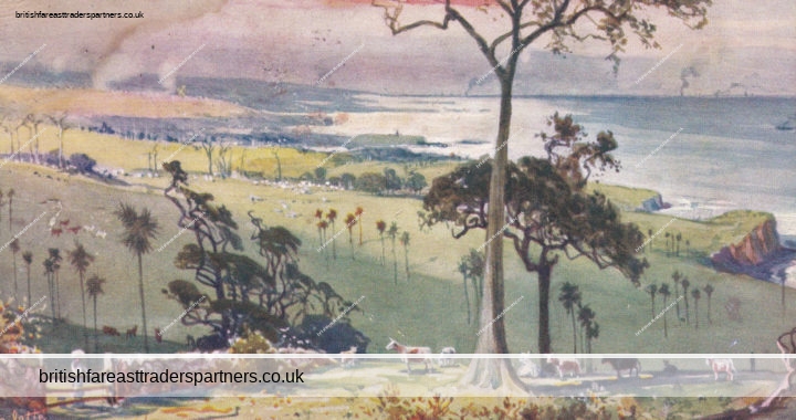 VINTAGE “View from Mount Pleasant” NEW SOUTH WALES Australia OILETTE  POSTCARD