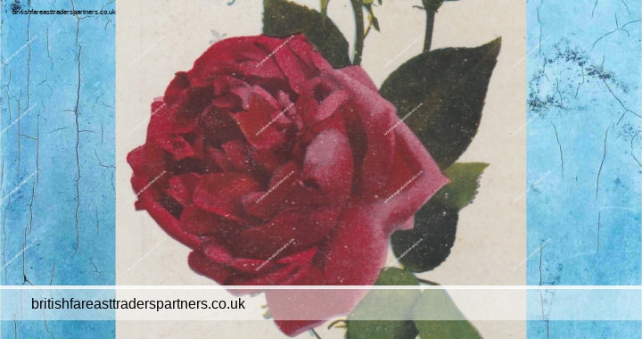 ANTIQUE BIRTHDAY WISHES RED ROSES POSTCARD
