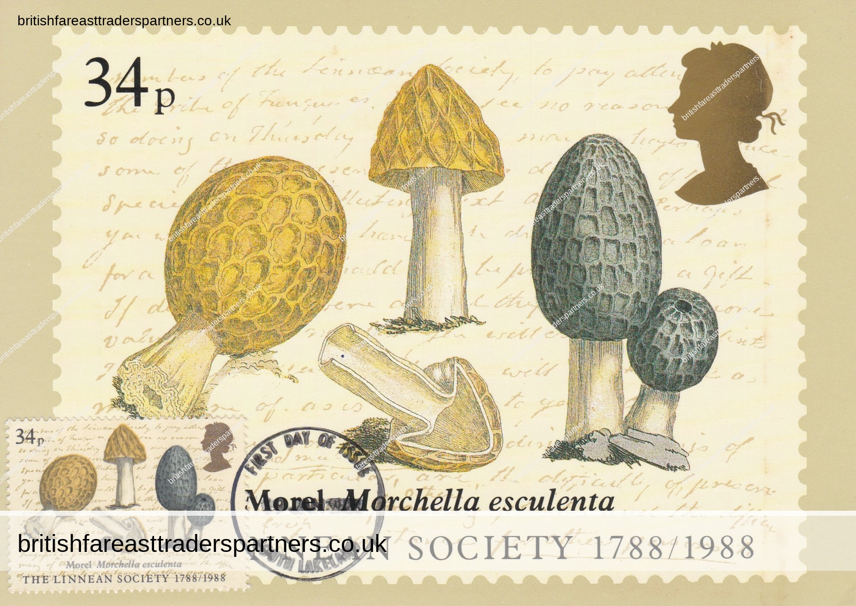 VINTAGE 1988 34p THE LINNEAN SOCIETY 1788-1988 (MOREL) POST OFFICE PICTURE CARD SERIES POSTCARD