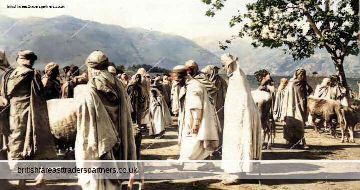 “Marche Kabyle” KABYLE MARKET Berber Tribe, ALGERIA COLOURISED PRINT POSTCARD
