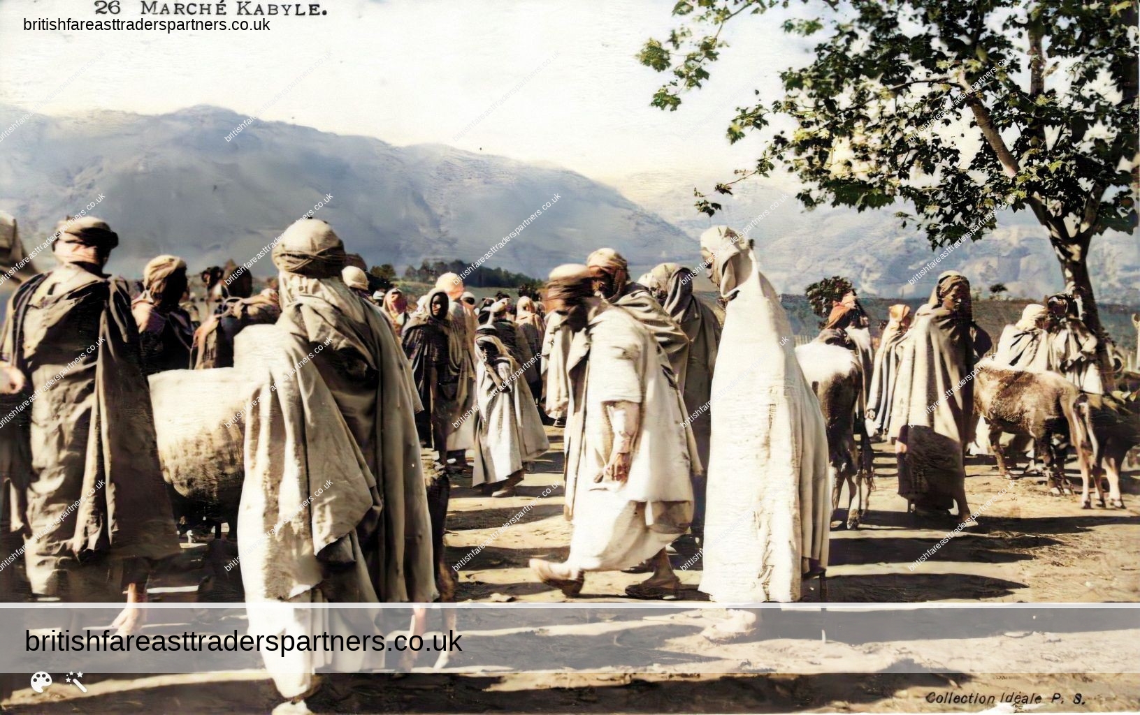 “Marche Kabyle” KABYLE MARKET Berber Tribe, ALGERIA COLOURISED PRINT POSTCARD
