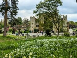 Celebrate Spring in Full Bloom at Hever Castle & Gardens